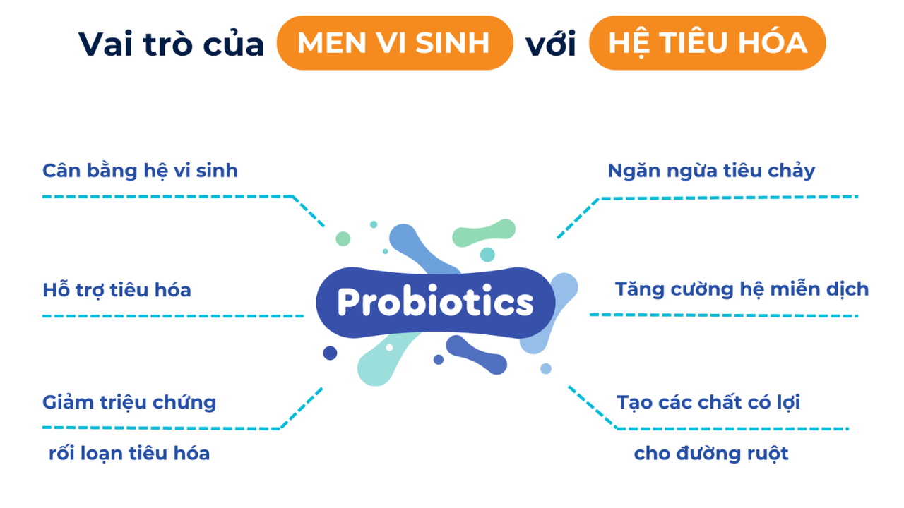 Những tác động của men vi sinh đối với hệ tiêu hoá